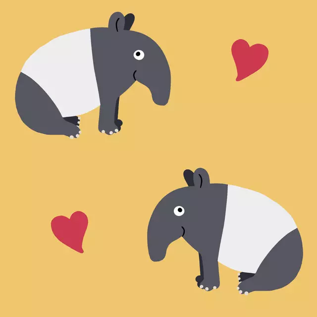 Dekovorhang Kuscheltapir