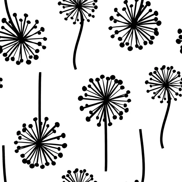 Dekovorhang Pusteblume schwarz/weiß
