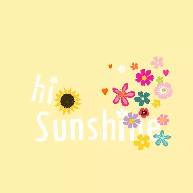 Kissen Hi Sunshine