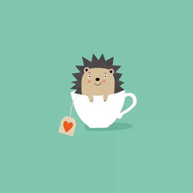 Kissen Tassen Igel