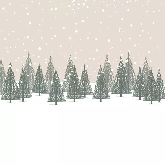 Bettwäsche Winterwunderland