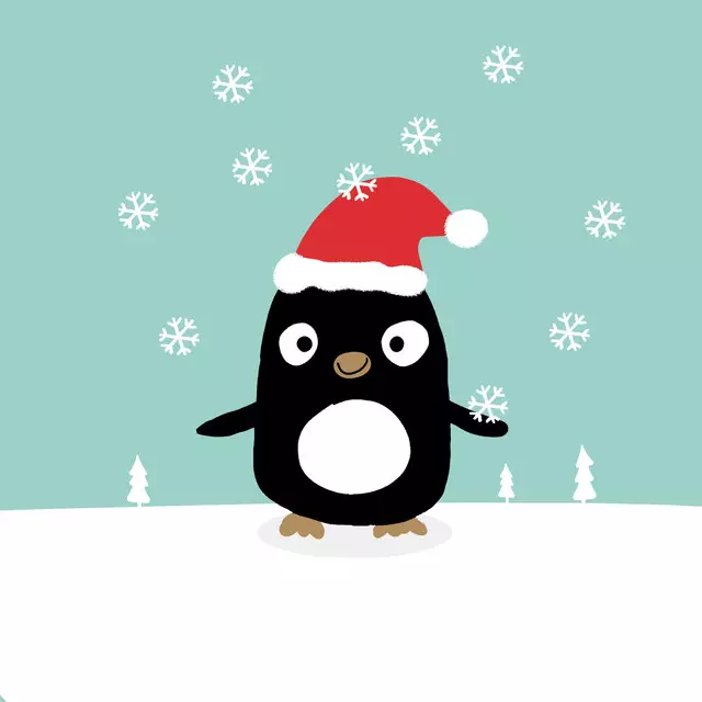 Kissen Pinguin mit Eisblume