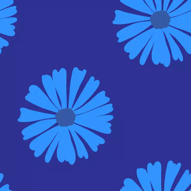 Kissen Kornblume