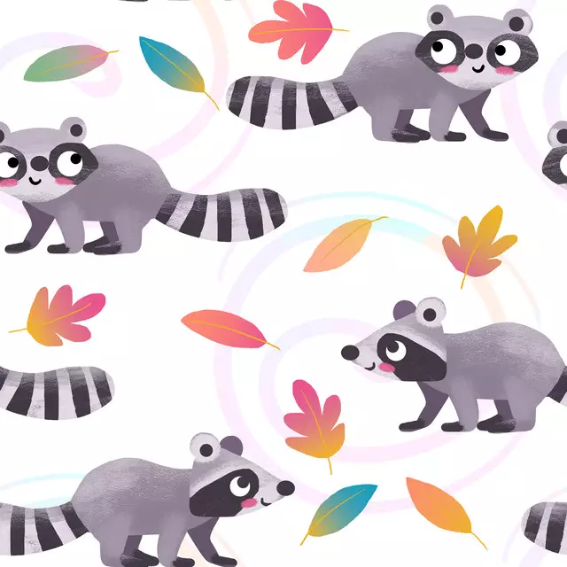 Waschbärchen