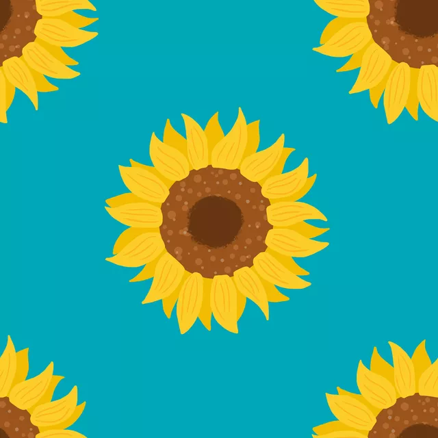 Sonnenblume
