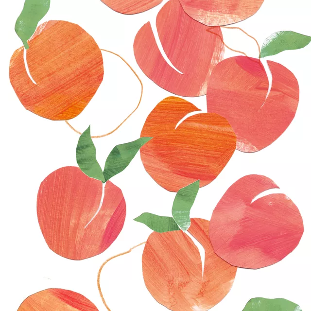 Geschirrtücher Peaches