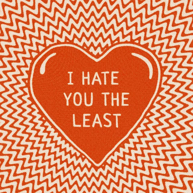 Geschirrtücher I Hate You The Least