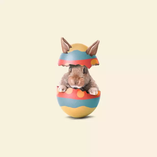 Servietten Easter Bunny