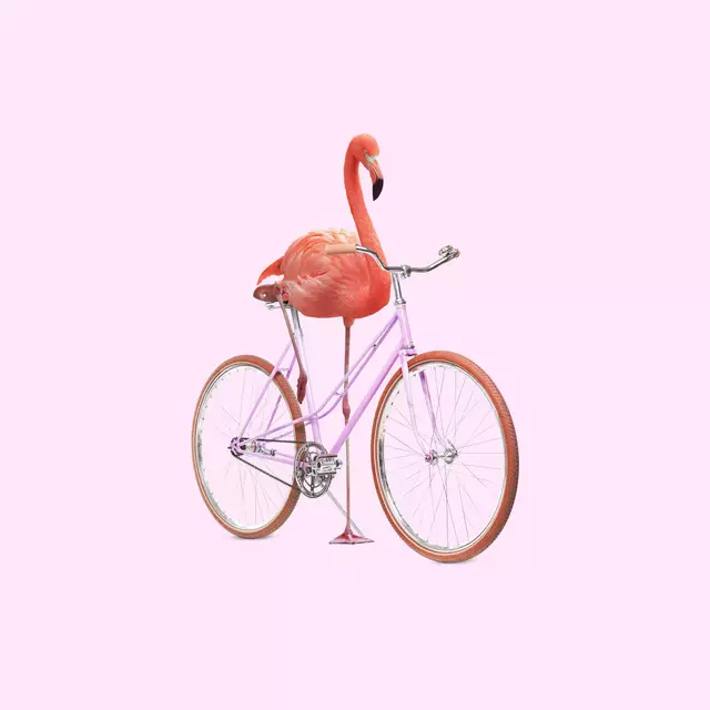 Kissen Flamingo Bike