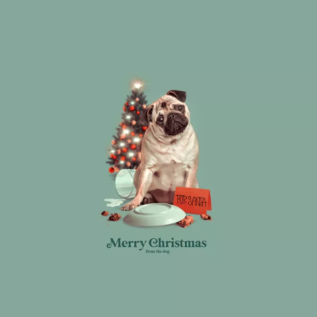 Geschirrtücher Merry Christmas From The Dog