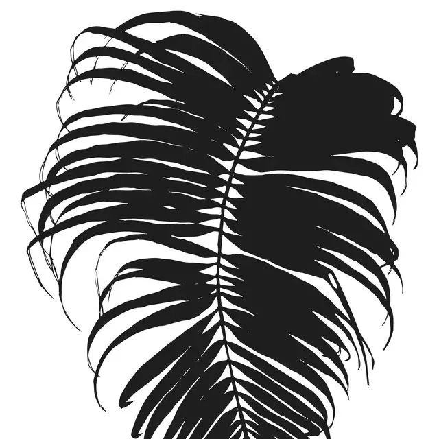 Tischset Butterfly Palm Leaf - Black