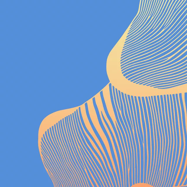 Geschirrtücher Organic Lines 03 Orange Graded