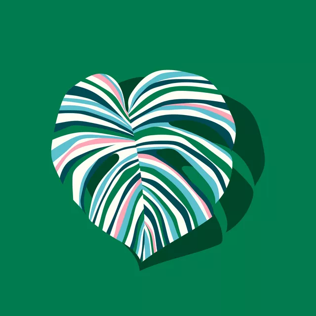 Kissen Farbfreude Monstera 1