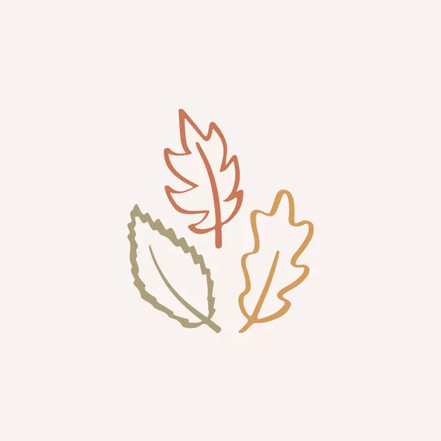 Laub Blätter Herbst