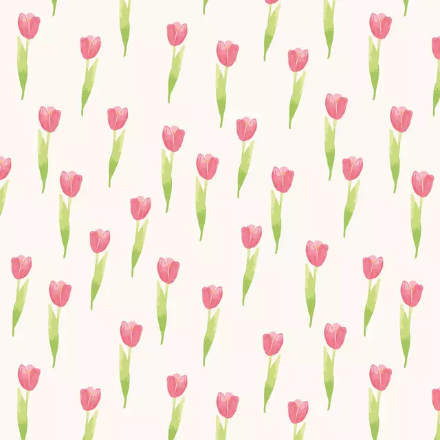 Tulpen Tulips
