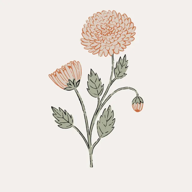 Bettwäsche Chrysantheme