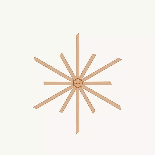 Strohstern beige Wendekissen