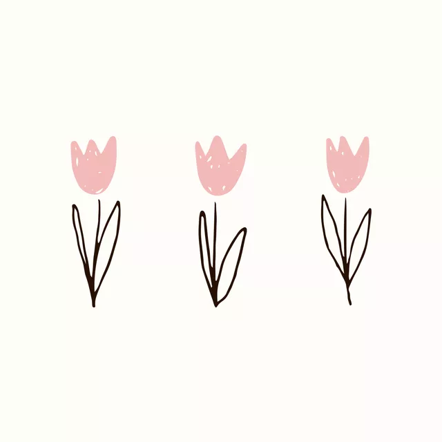 Tulips rosa