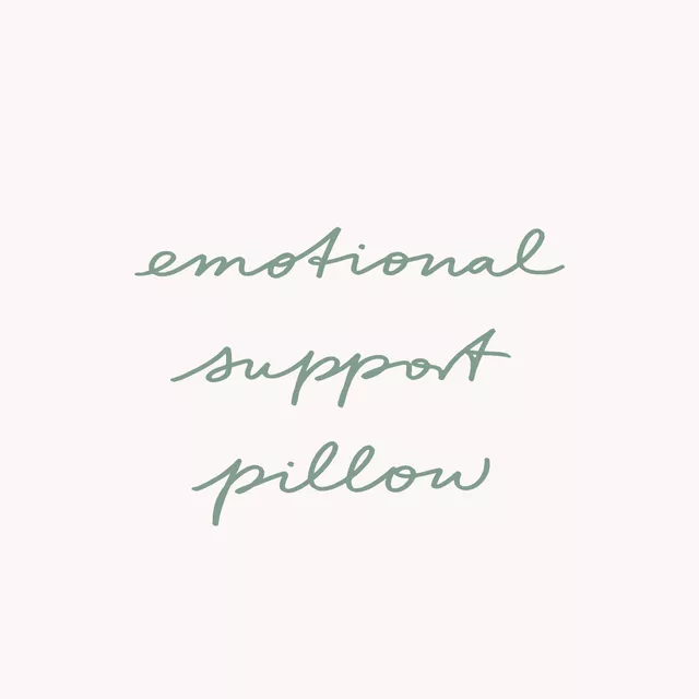 Emotional Support Pillow sage