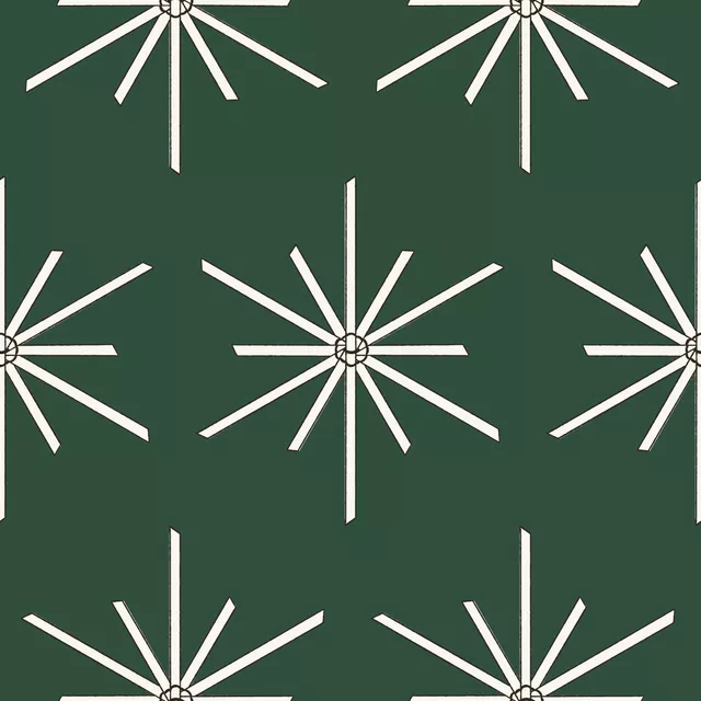Strohstern dunkelgrün