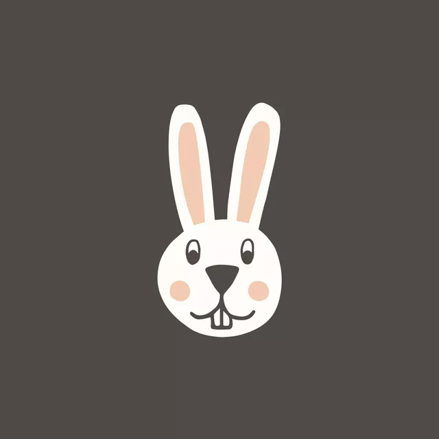Bettwäsche Funny Bunny Charcoal