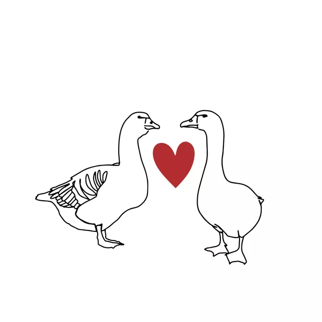 Servietten Gänse Liebe Wendekissen
