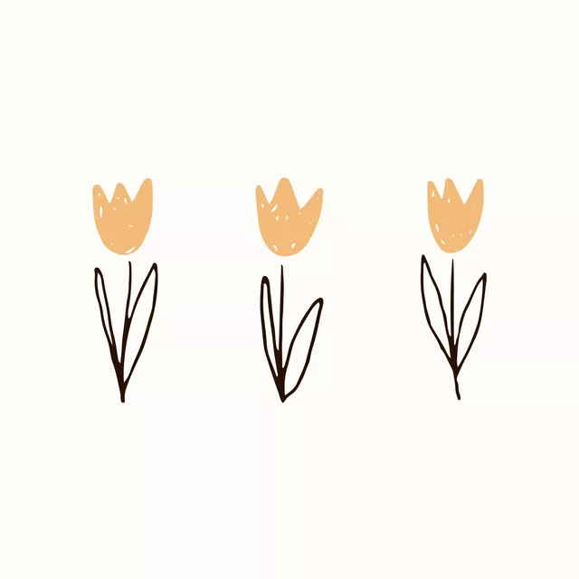 Tulips gelb