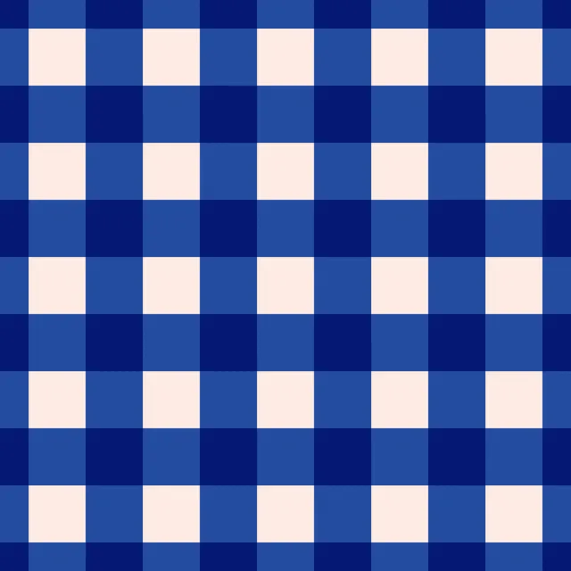 Plaid Blau Rosa