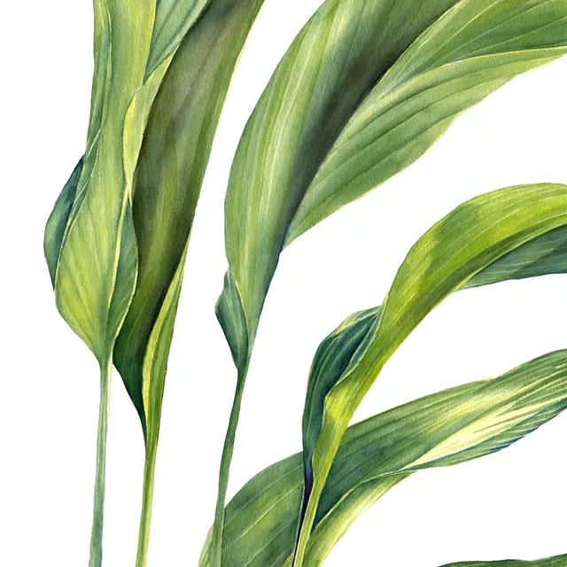 Kissen Tropical Vibes Palmenblaetter