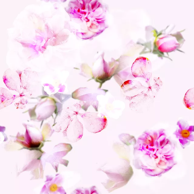 Bettwäsche Whisper of Roses