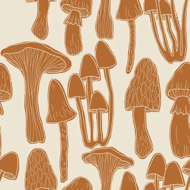 Kissen Herbstzeit Pilze