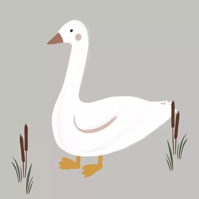 Kissen Weiße Gänse