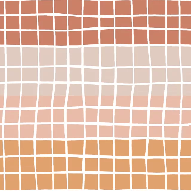 Kissen Burnt Orange Color Block