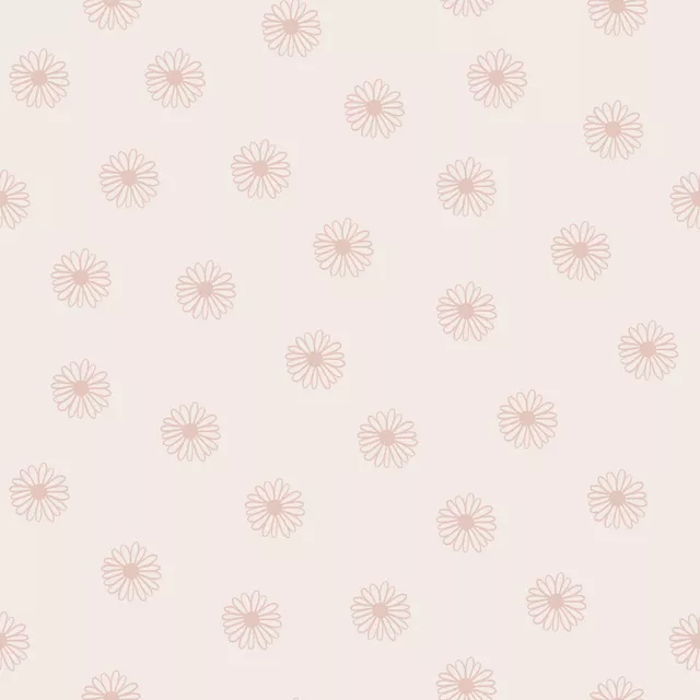 Rosa Gänseblümchen