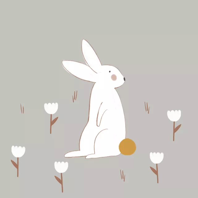 Kissen Weißer Hase