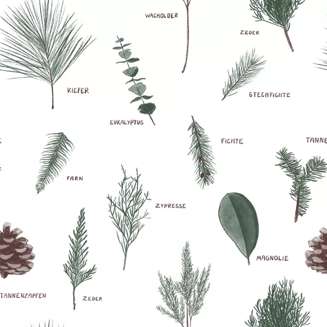 Dekovorhang Winter Greens