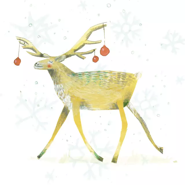 Geschirrtücher Rudolph