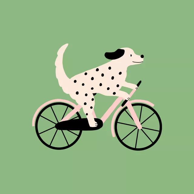 Kissen Hund mit Fahrrad