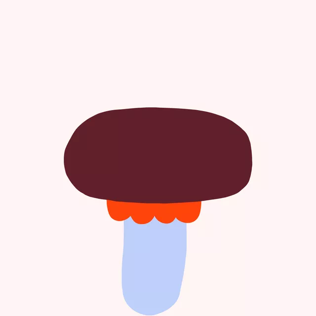 Kissen Pilz