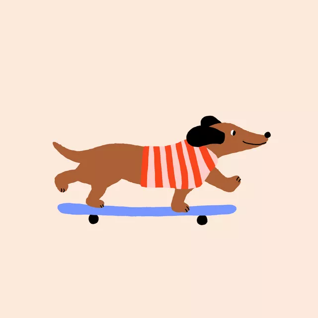Geschirrtücher Dackel mit Skateboard