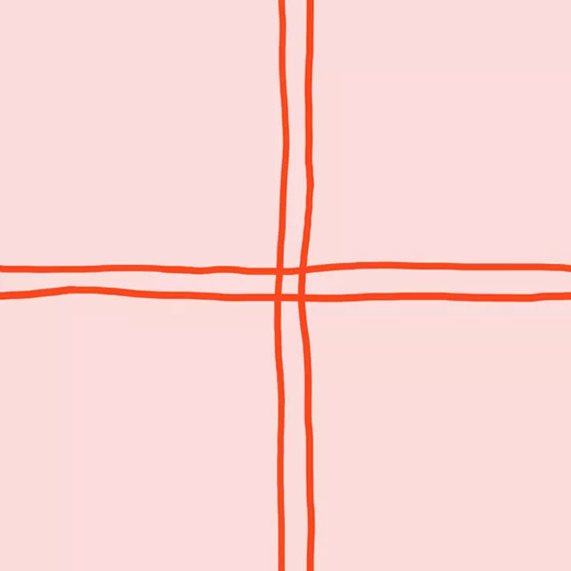Karomuster Linien Rot & Rosa