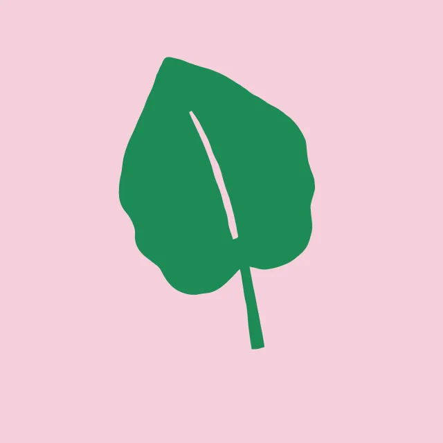 Kissen Tropisches Blatt Monstera