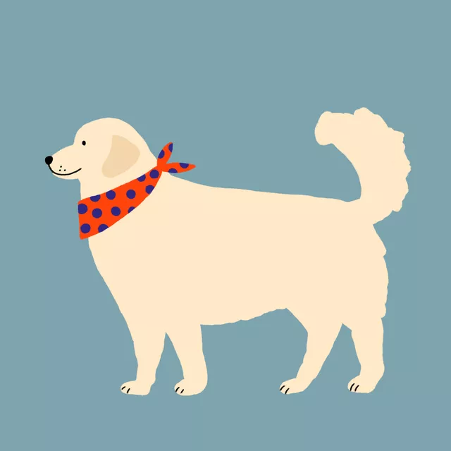 Kissen Golden Retriever mit Halstuch