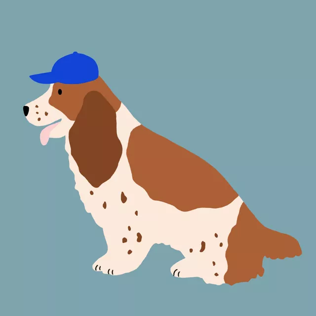 Kissen Cocker Spaniel mit Kappe