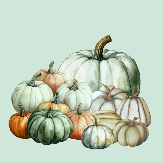 Kissen Kürbisse Herbst