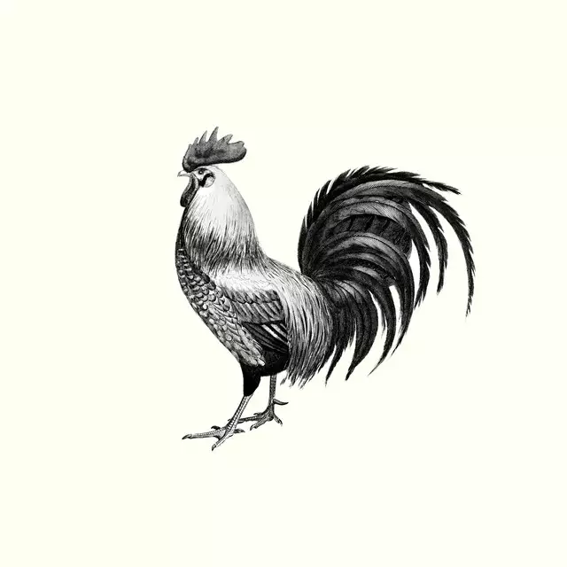 Servietten The Vintage Rooster