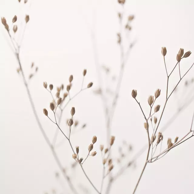 Kissen Wildblumen Rainkohl Beige