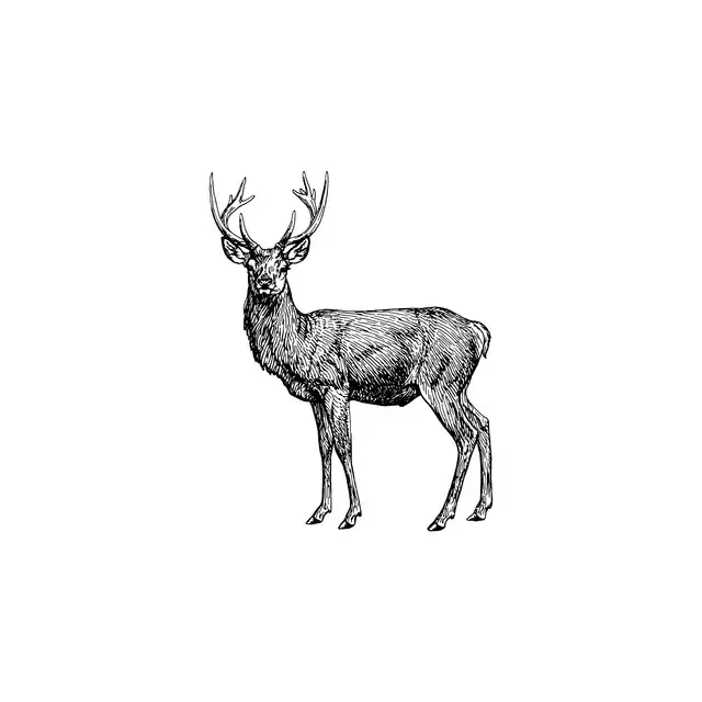 Vintage Holidays  Deer 1