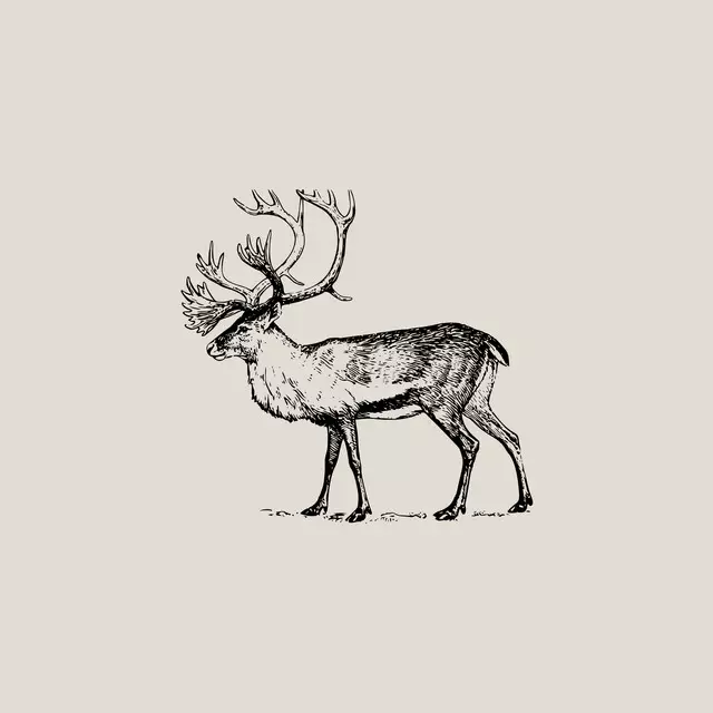 Bettwäsche Vintage Holidays Reindeer BB