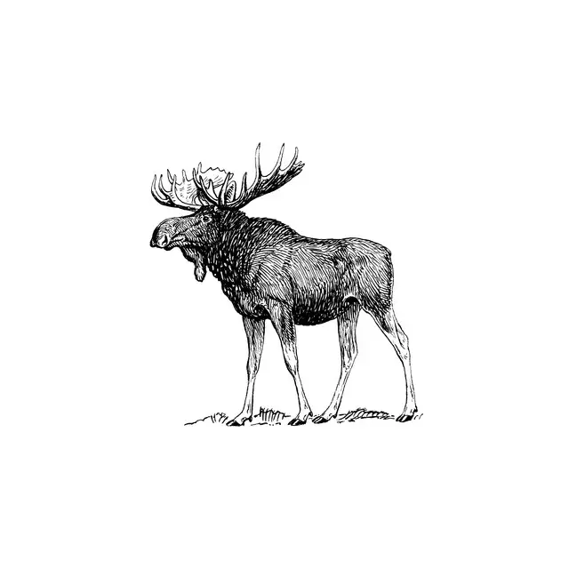 Kissen Vintage Holidays Moose Elch